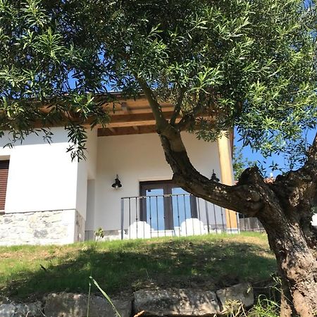 La Casina Del Olivo Villa Ribadesella Eksteriør bilde