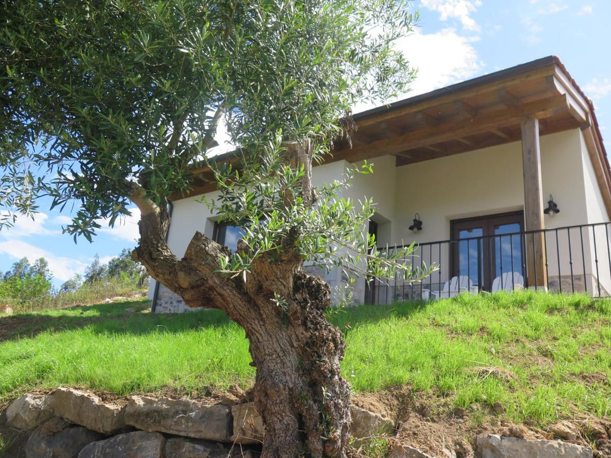 La Casina Del Olivo Villa Ribadesella Eksteriør bilde